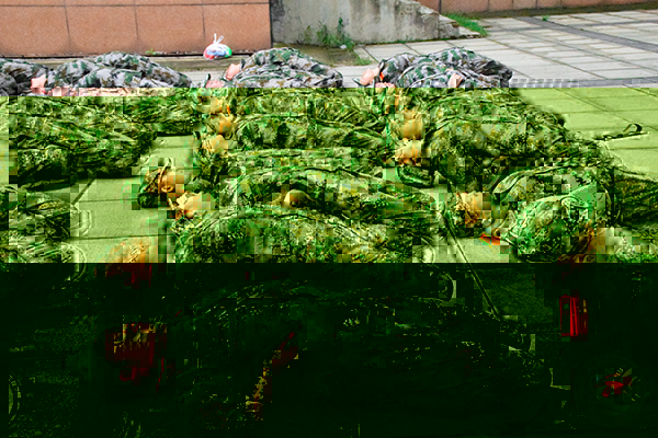 5731f28cfd364dd9a6589fac295eb65c.jpg DSC_10811.jpg